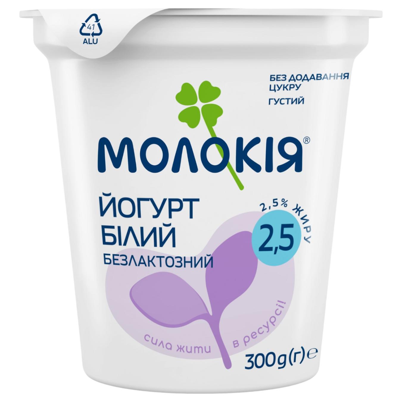 Йогурт Молокія безлактозний 2,5% 300г — фото продукту