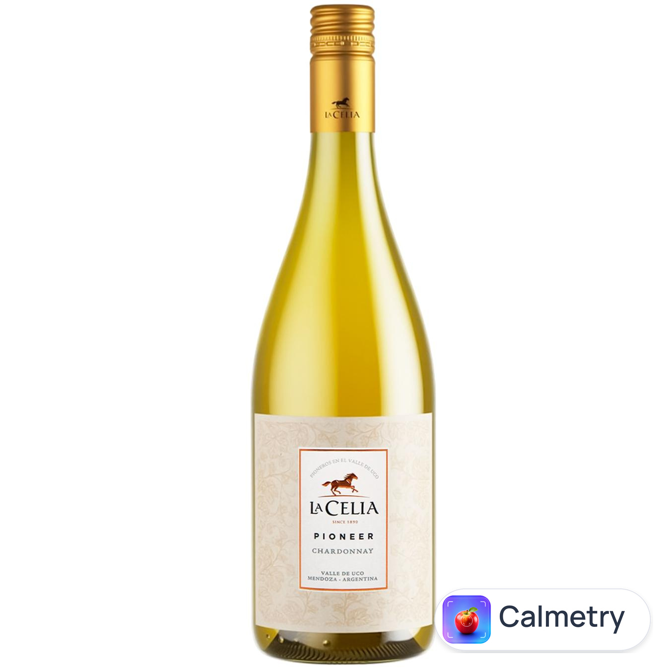 Вино La Celia Pioneer Chardonnay біле сухе 13,5% 0,75л