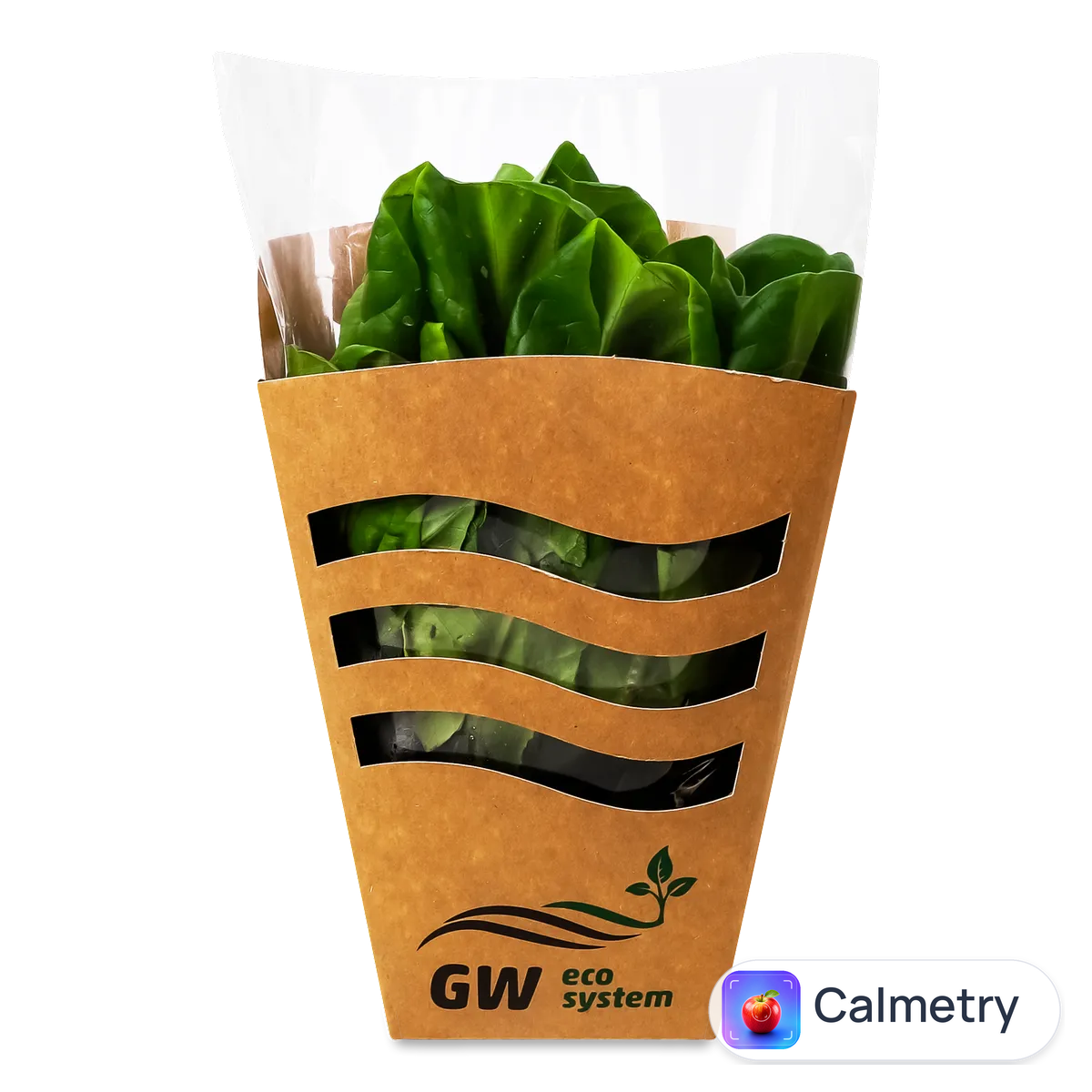 Салат GW eco system Клі свіжий листовий