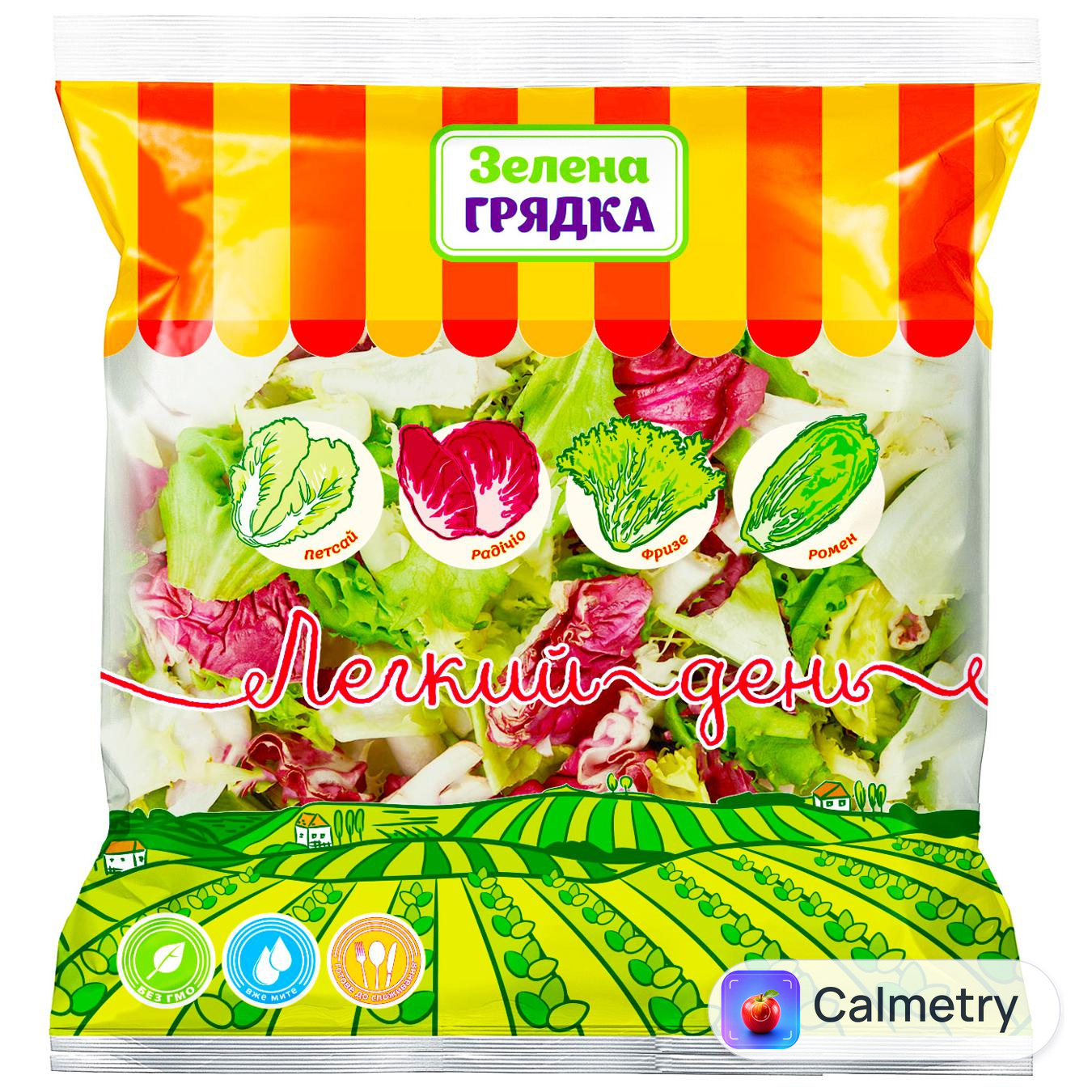 Салатний мікс Зелена Грядка Легкий день 170г