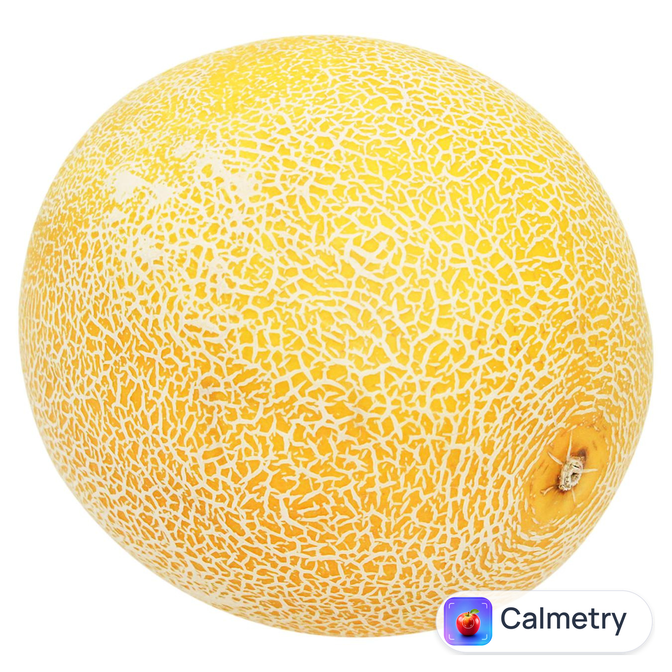Диня Галія