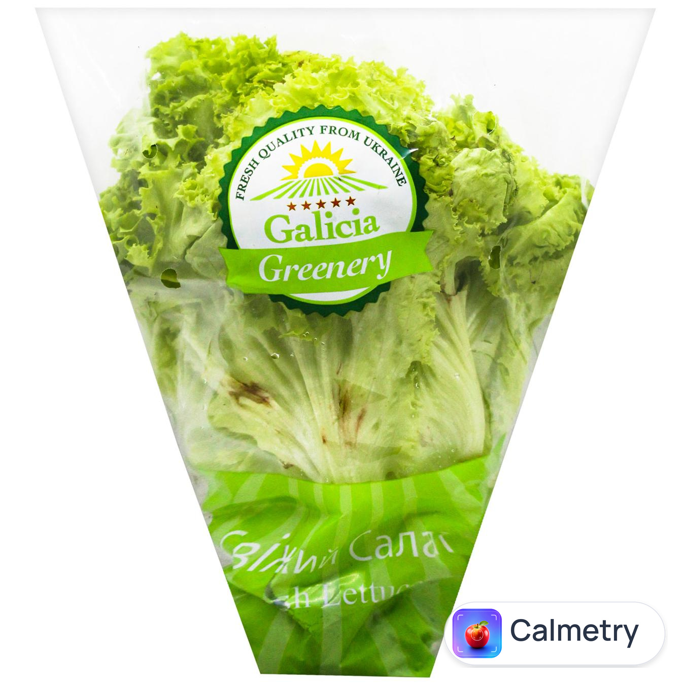 Салат Galicia Greenery Лолло Біондо в горщику ~100г
