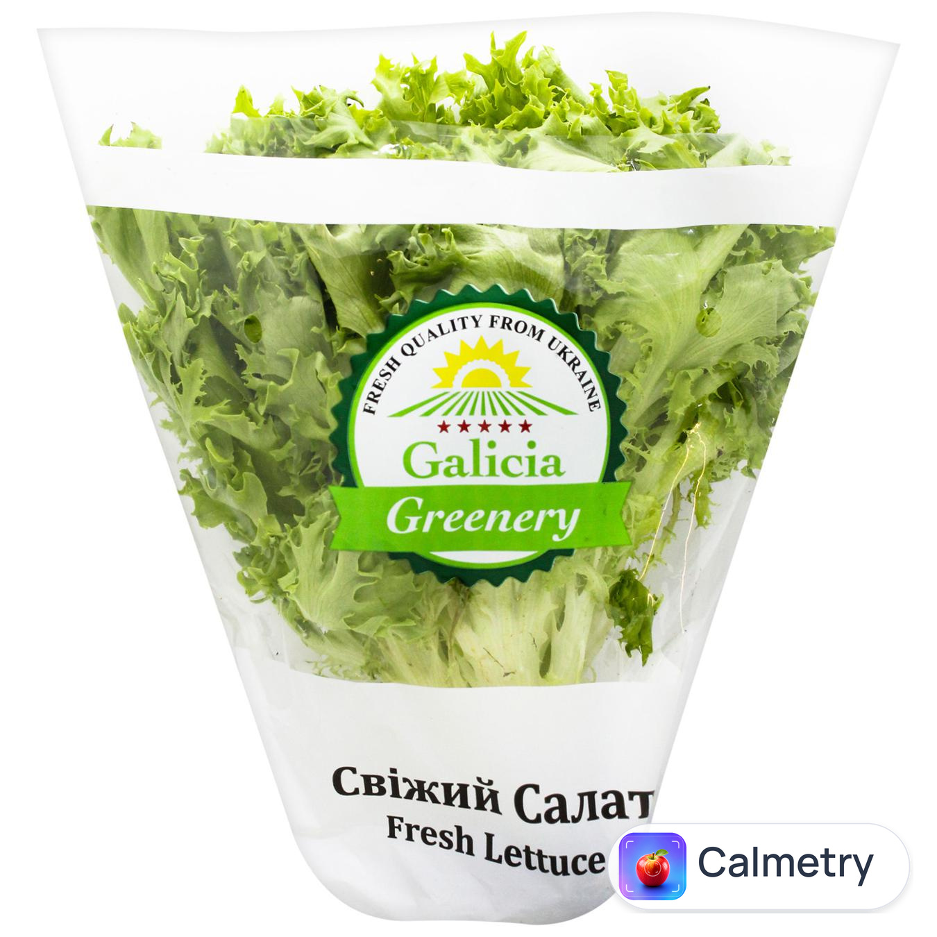 Салат Galicia Greenery Фрізе в горщику 100г