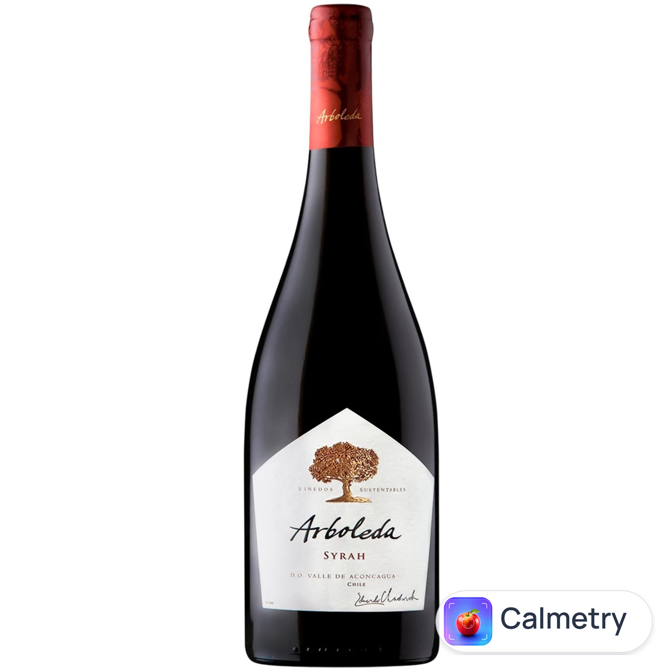 Вино Arboleda Syrah червоне сухе 13,5% 0,75л