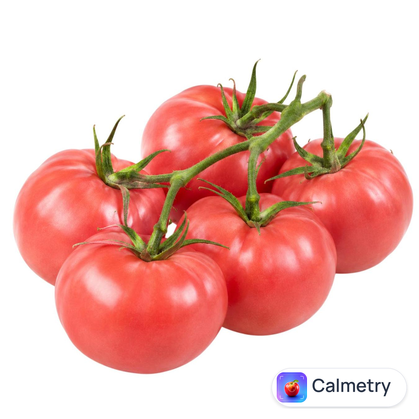 Помідор рожевий на гілці — фото продукту