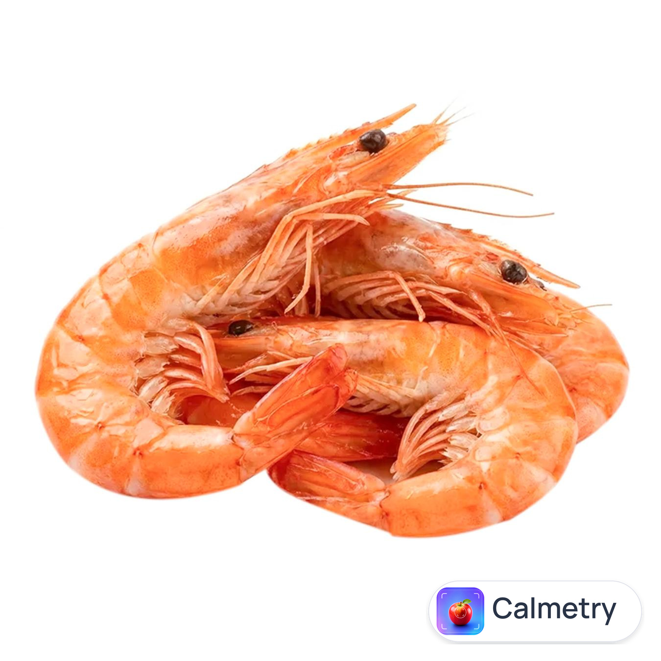 Креветки Королівські варені охолоджені 20-40 — фото продукту