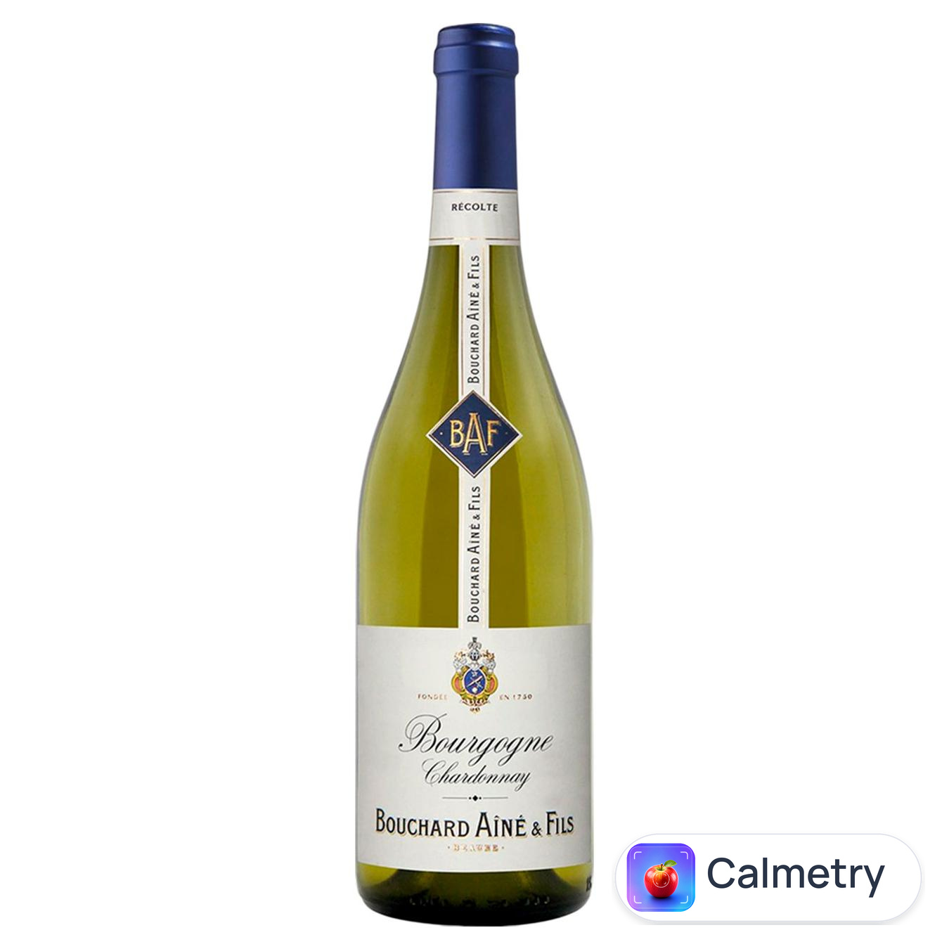 Вино Bouchard Aine & Fils Bourgogne бiле сухе 13% 0,75л