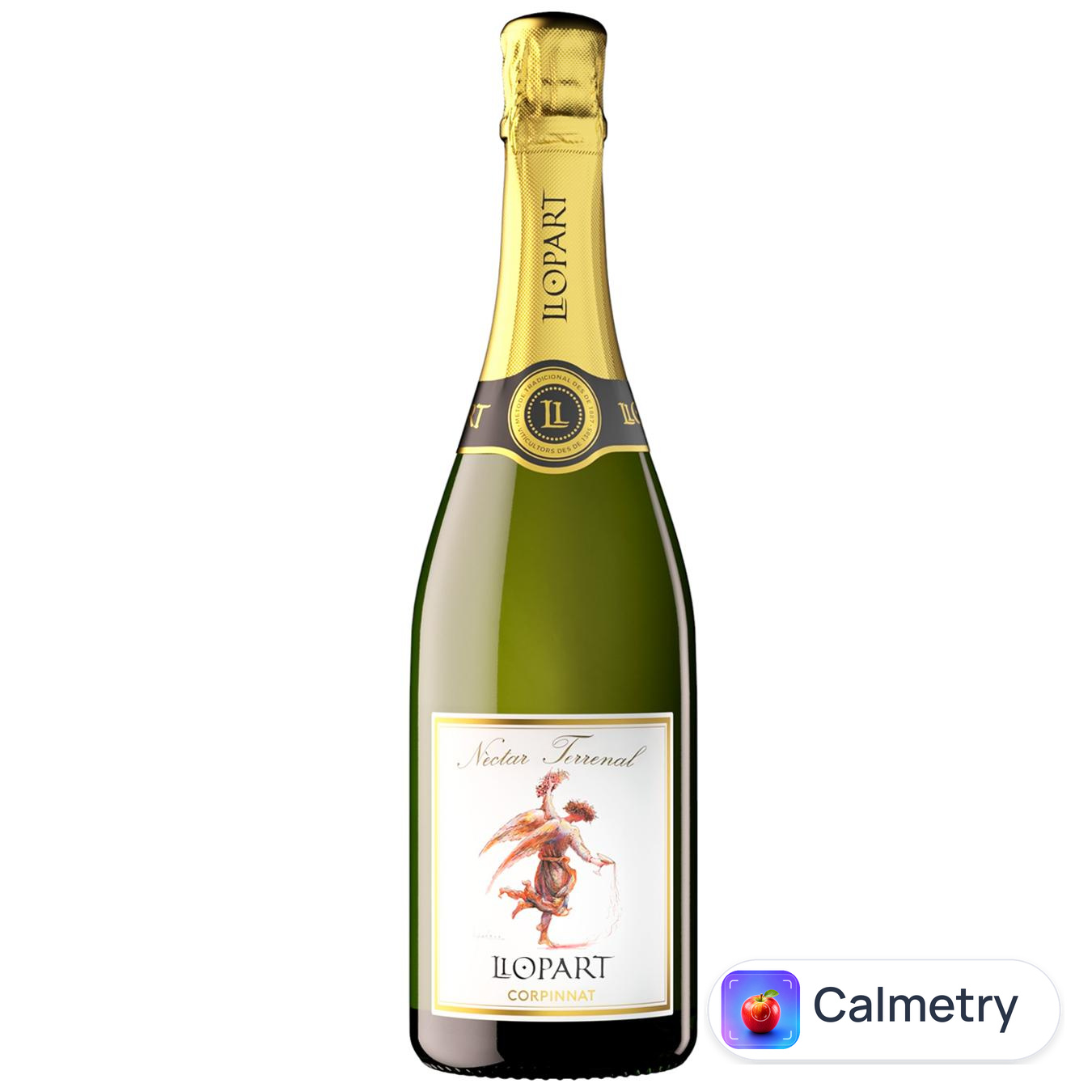 Вино ігристе Llopart Nectar Terrenal біле напівсухе 11,5% 0,75л