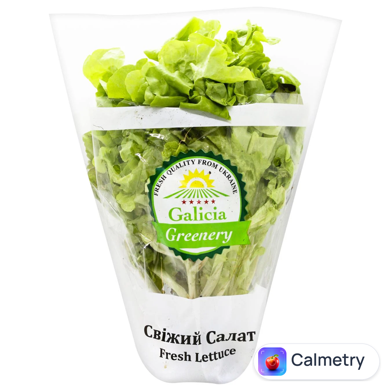 Салат Galicia Greenery Дуо в горщику 250г