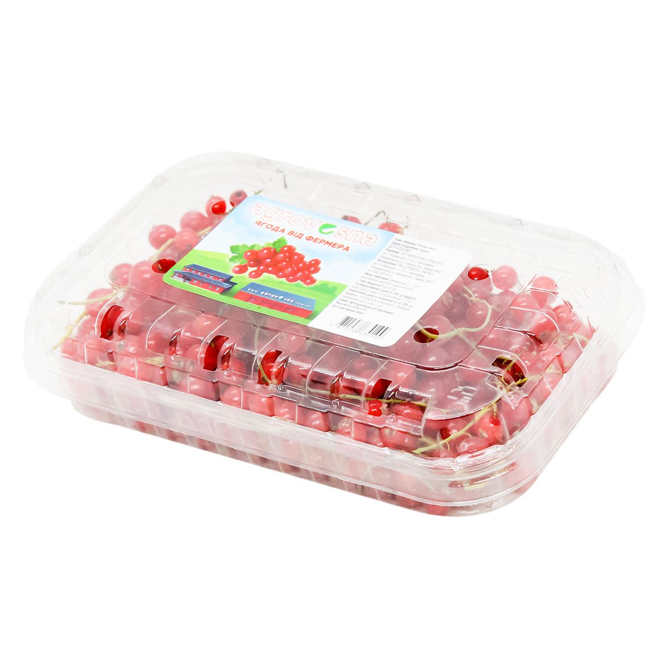 Порічка 250г — фото продукту
