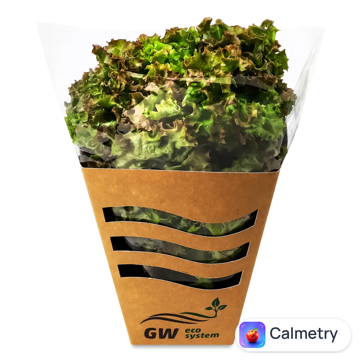 Салат GW eco system Кармесі свіжий листовий