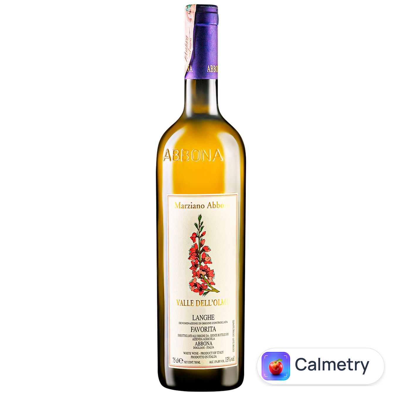 Вино Abbona Favorita Valle Dello' Olmo біле сухе 12,5% 0,75л