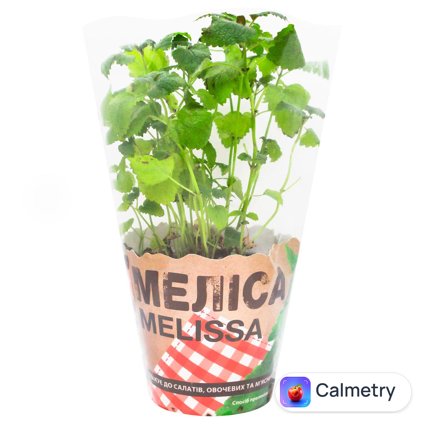 Меліса у горщику 200г — фото продукту
