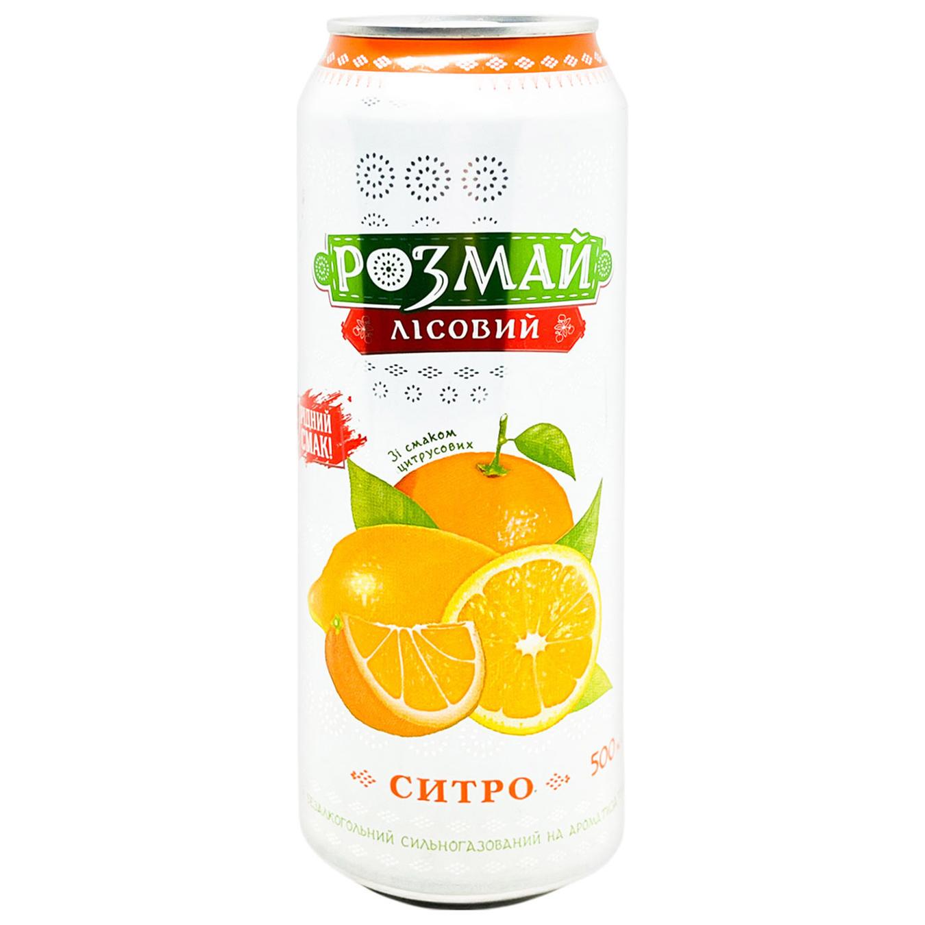 Напій газований Розмай Лісовий Ситро 0,5л — фото продукту