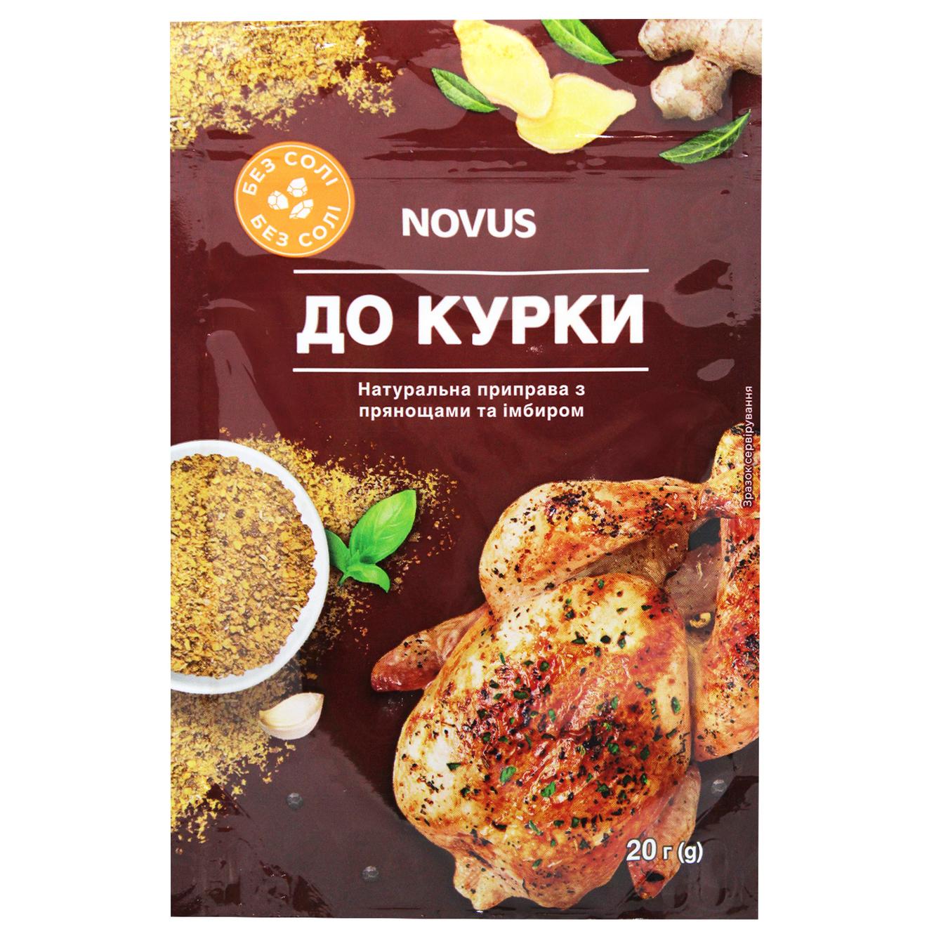 Приправа Novus до курки з прянощами та імбиром 20г — фото продукту