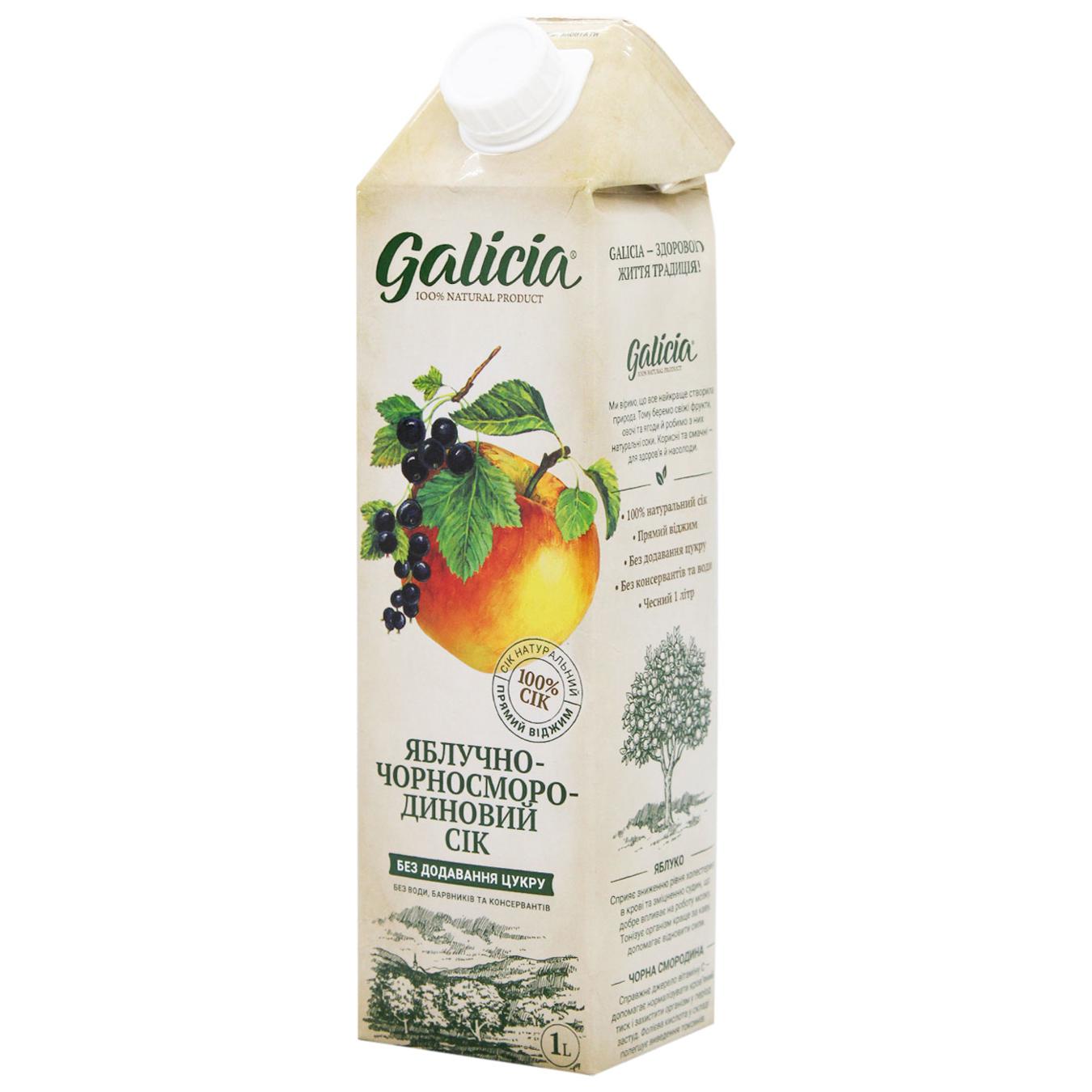 Сік Galicia яблучно-чорносмородиновий 1л — фото продукту