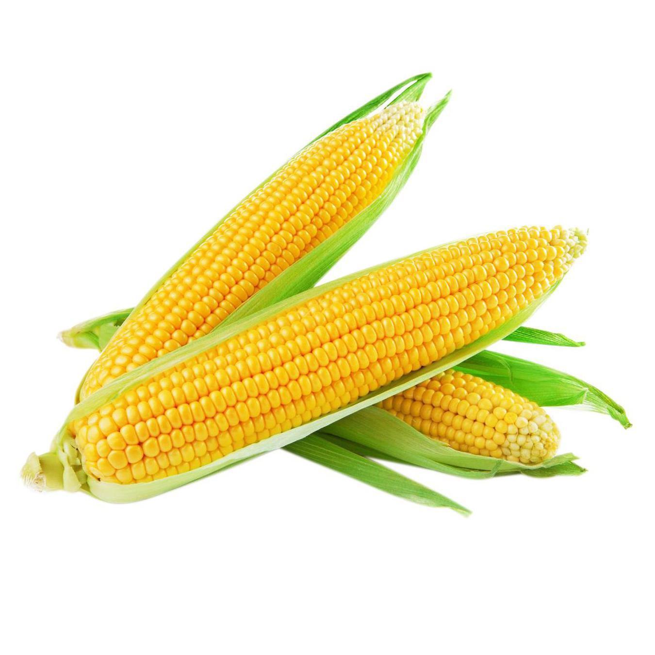 Кукурудза молода, шт — фото продукту