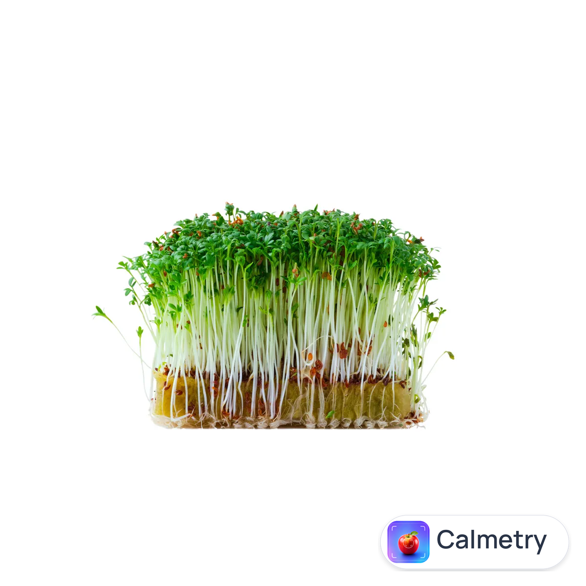 Салат Cress mix