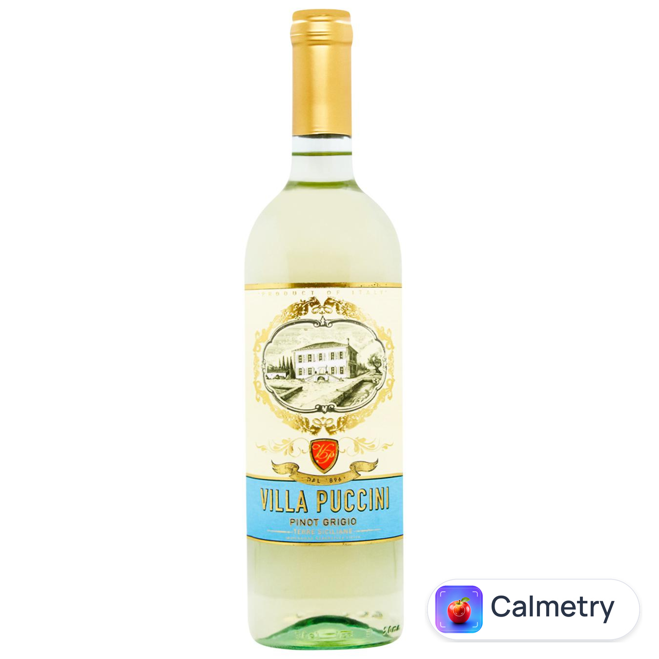 Вино Villa Puccini Terre Siciliane Pinot Grigio біле сухе 12% 0,75л