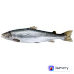 Лосось 1-2 охолоджений — фото продукту