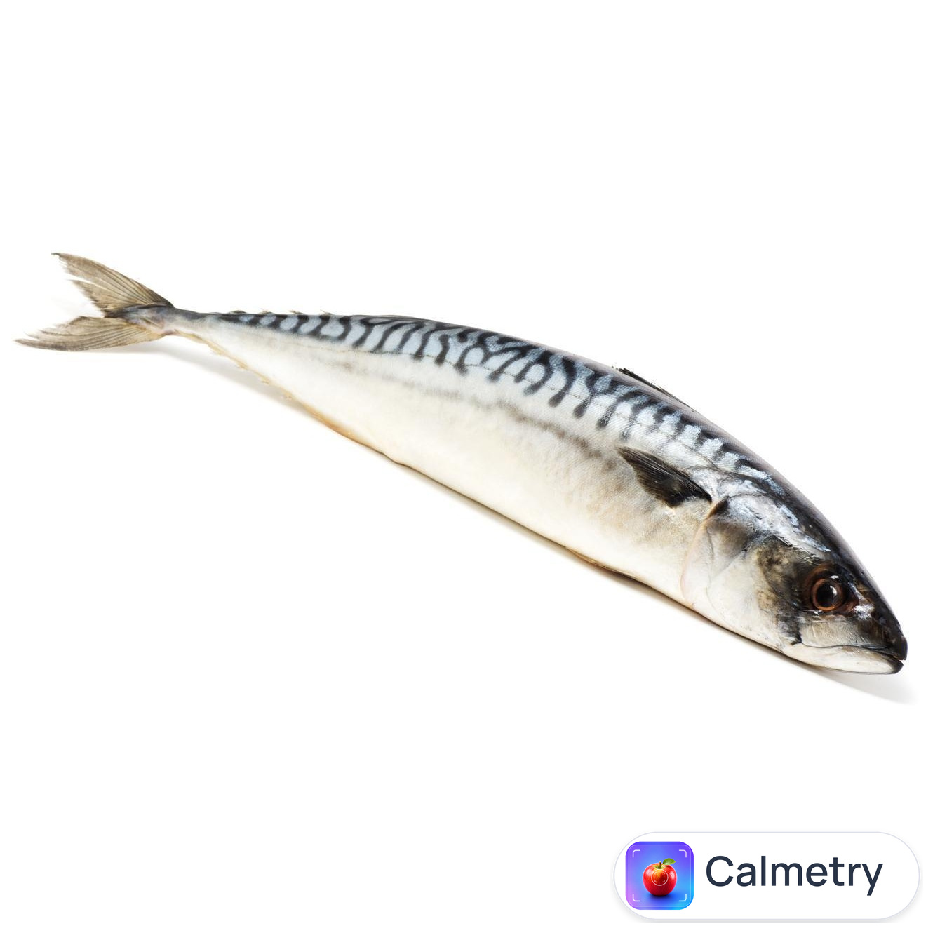Скумбрія з головою патрана слабосолена охолоджена — фото продукту
