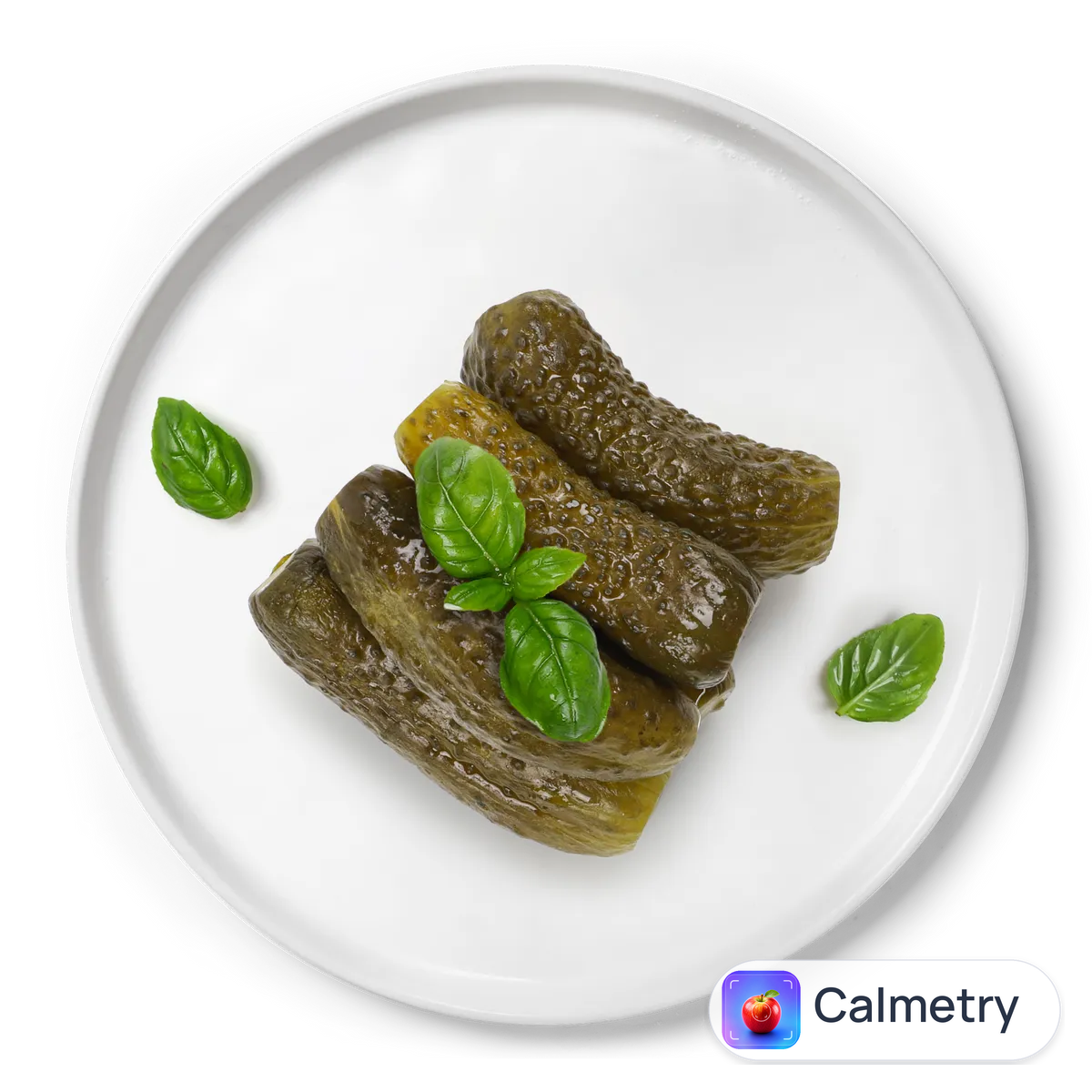 Огірки солоні 40г