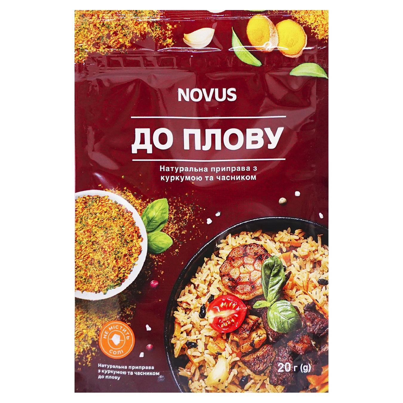 Приправа Novus до плову з куркумою та часником 20г — фото продукту