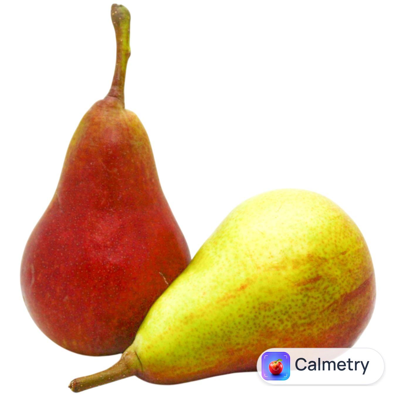 Груша Селін