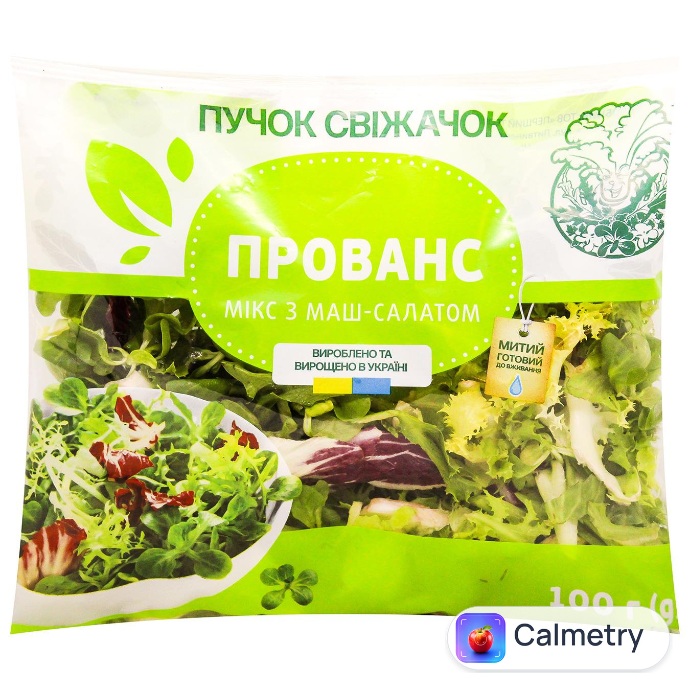 Салат Пучок Свіжачок Прованс мікс з маш-салатом 100г