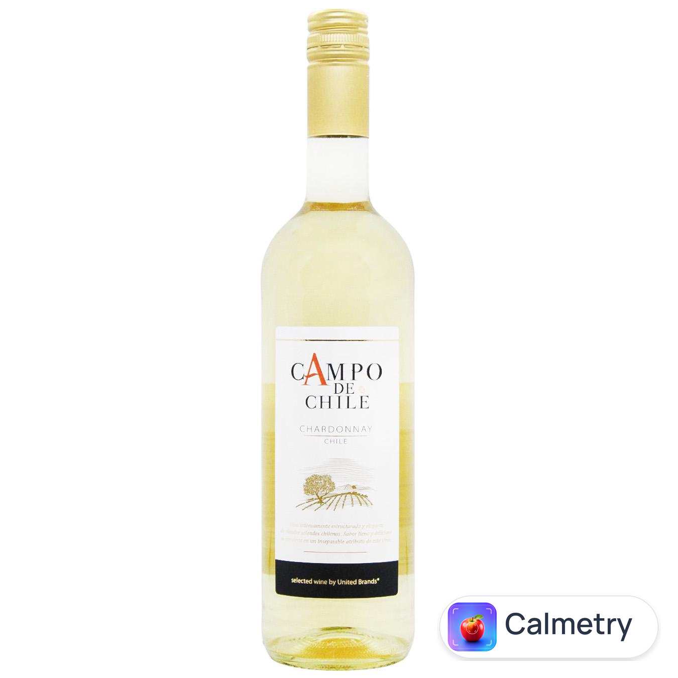 Вино Campo de Chile Chardonnay біле сухе 12,5% 0,75л