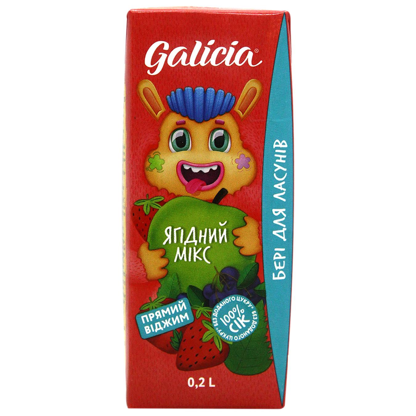 Сік Galicia ягідний із м'якоттю 200мл — фото продукту