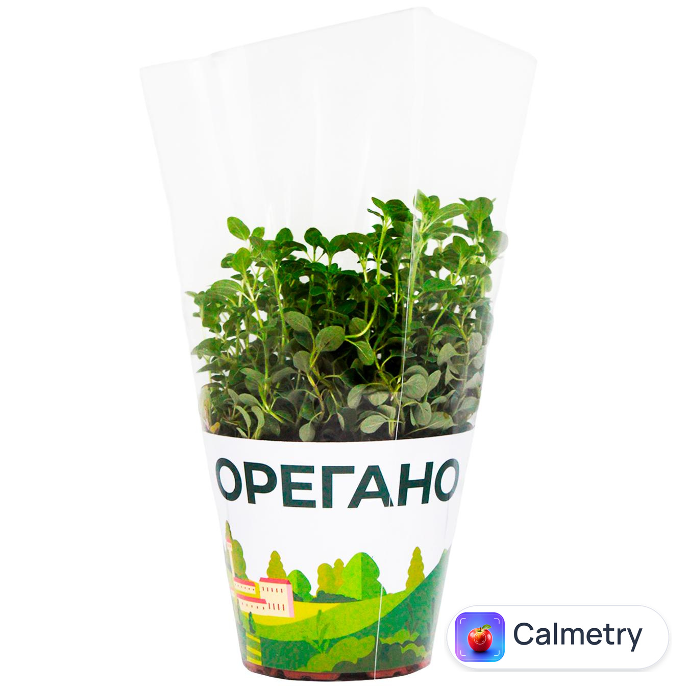 Орегано в горщику