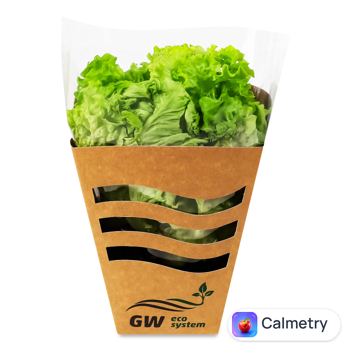 Салат GW eco system Алепо свіжий листовий