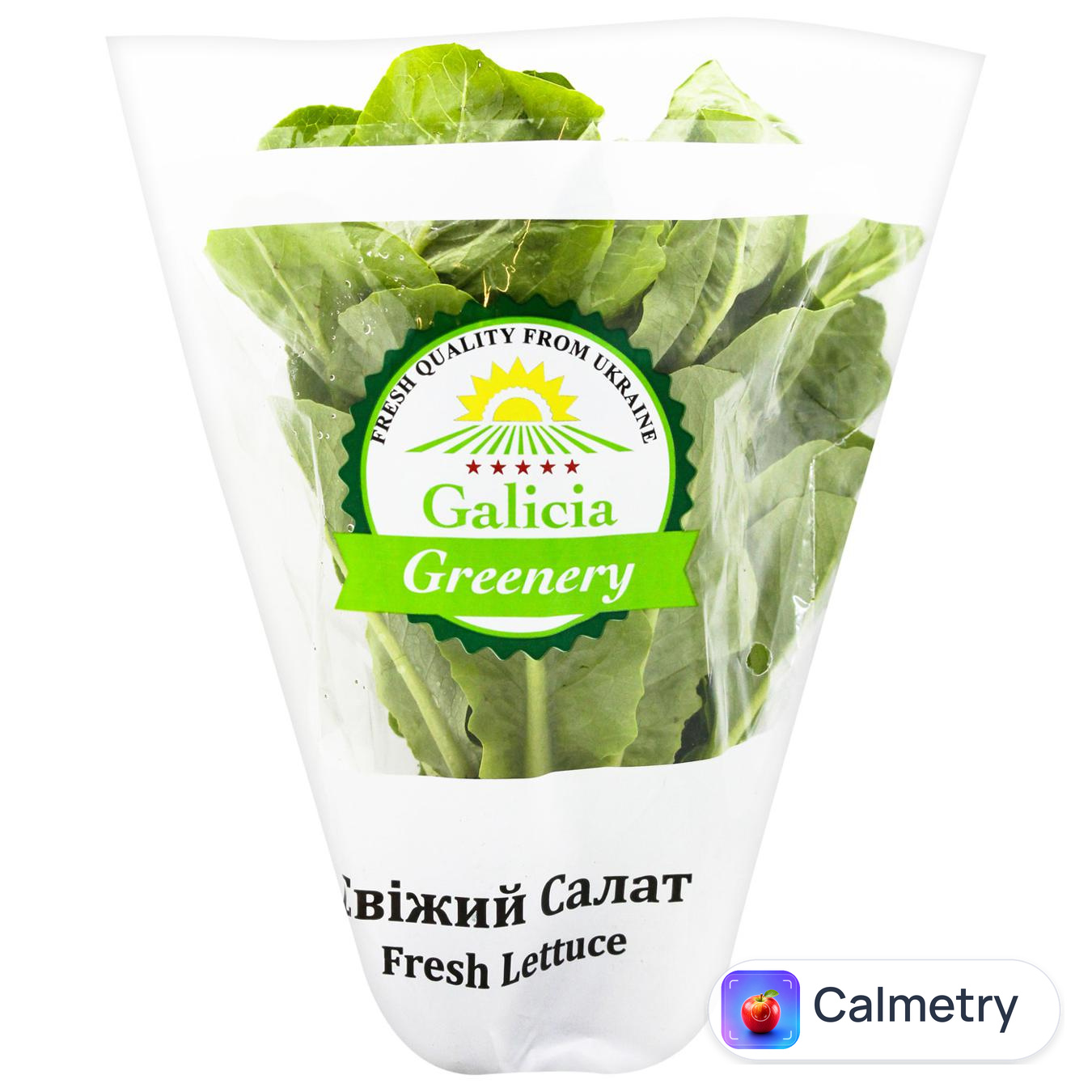 Салат Galicia Greenery Ромен в горщику ~130г