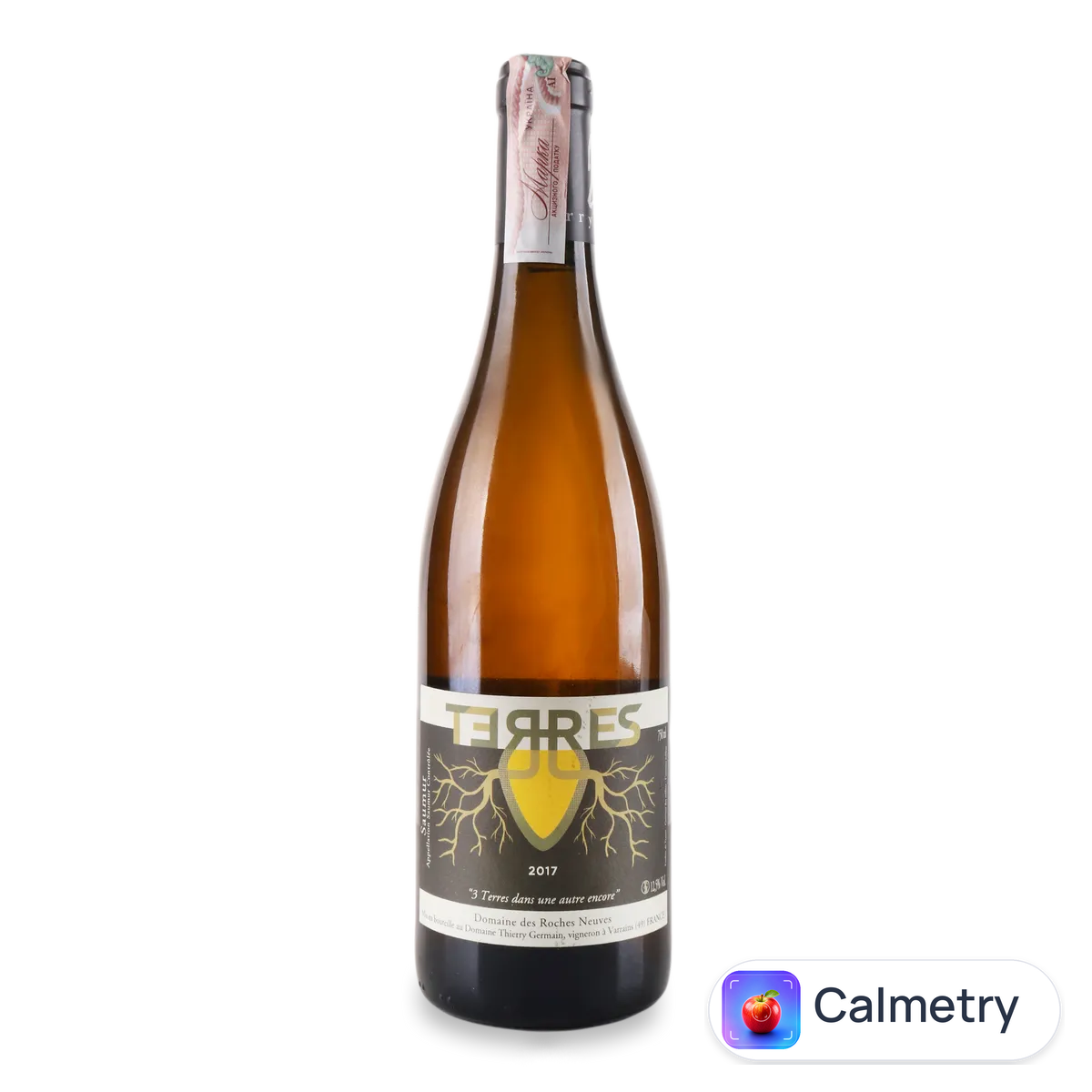 Вино Domaine des Roches Neuves Terres AmphItal Saumur 2017 0,75л