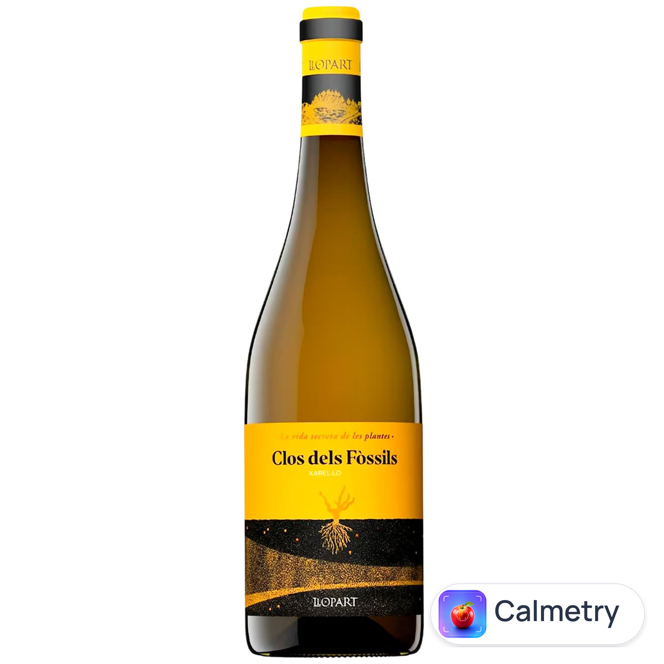 Вино Llopart Clos Dels Fossils біле сухе 12,5% 0,75л