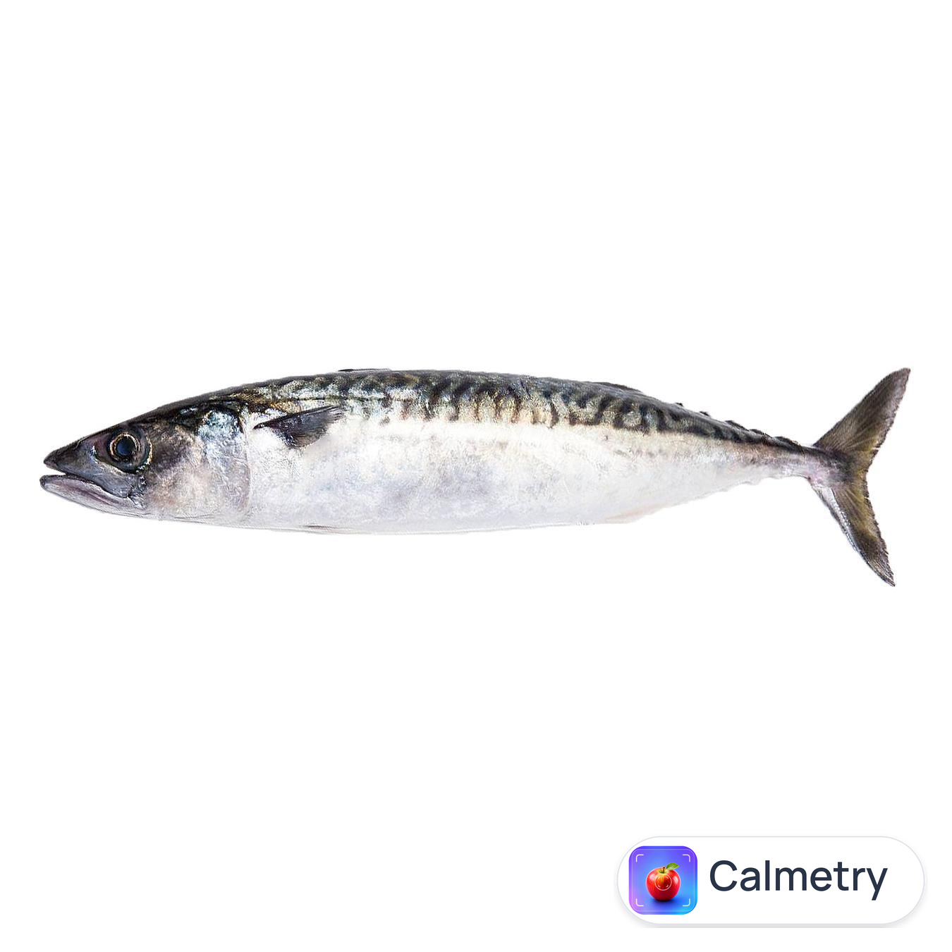 Скумбрія свіжоморожена — фото продукту